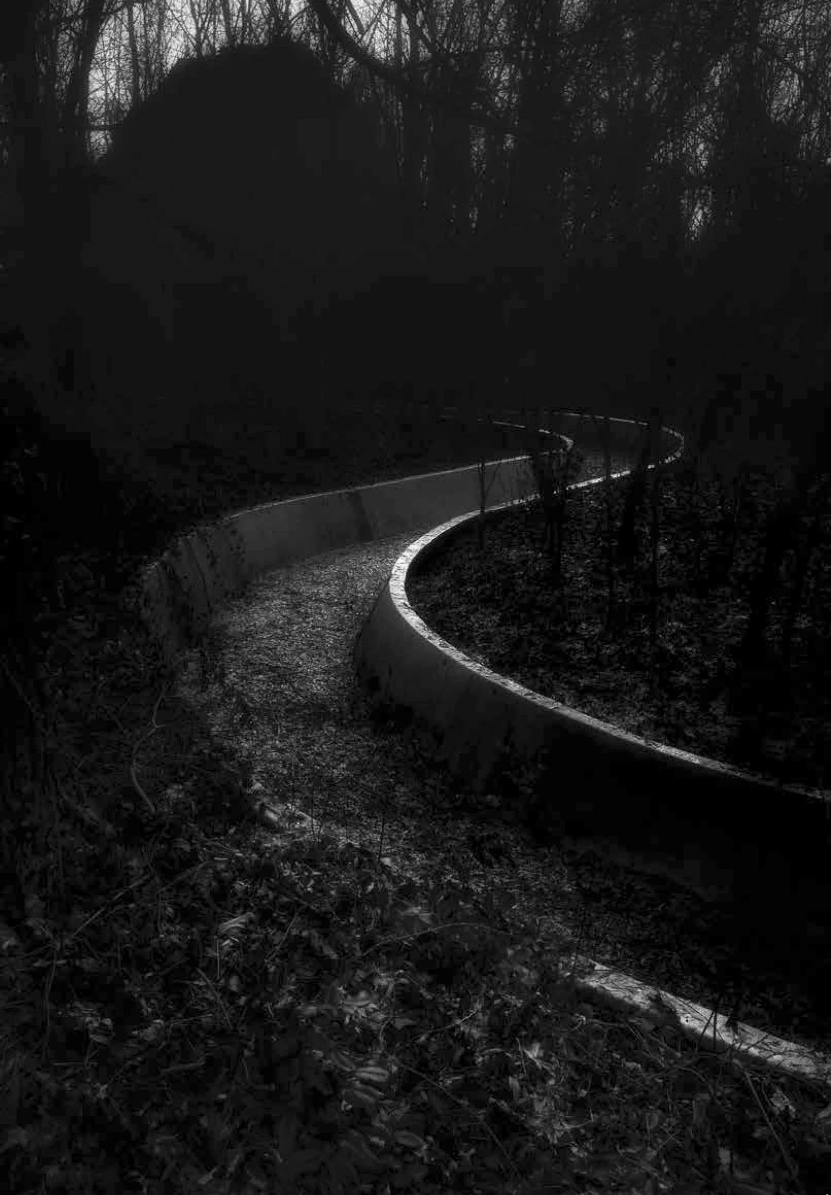 Curving woodland track from Spreeblitz