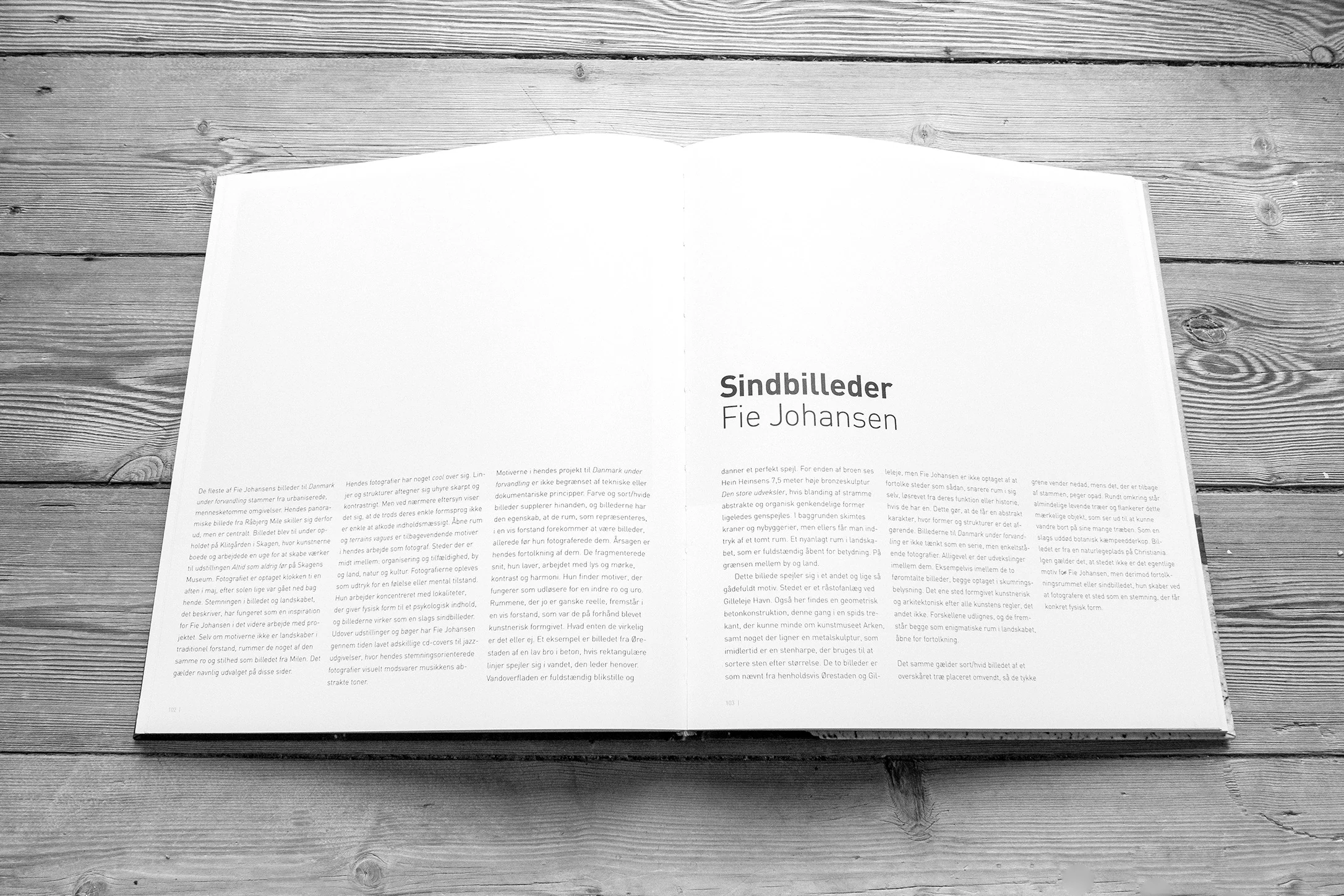 Text pages in the Denmark in Transition book