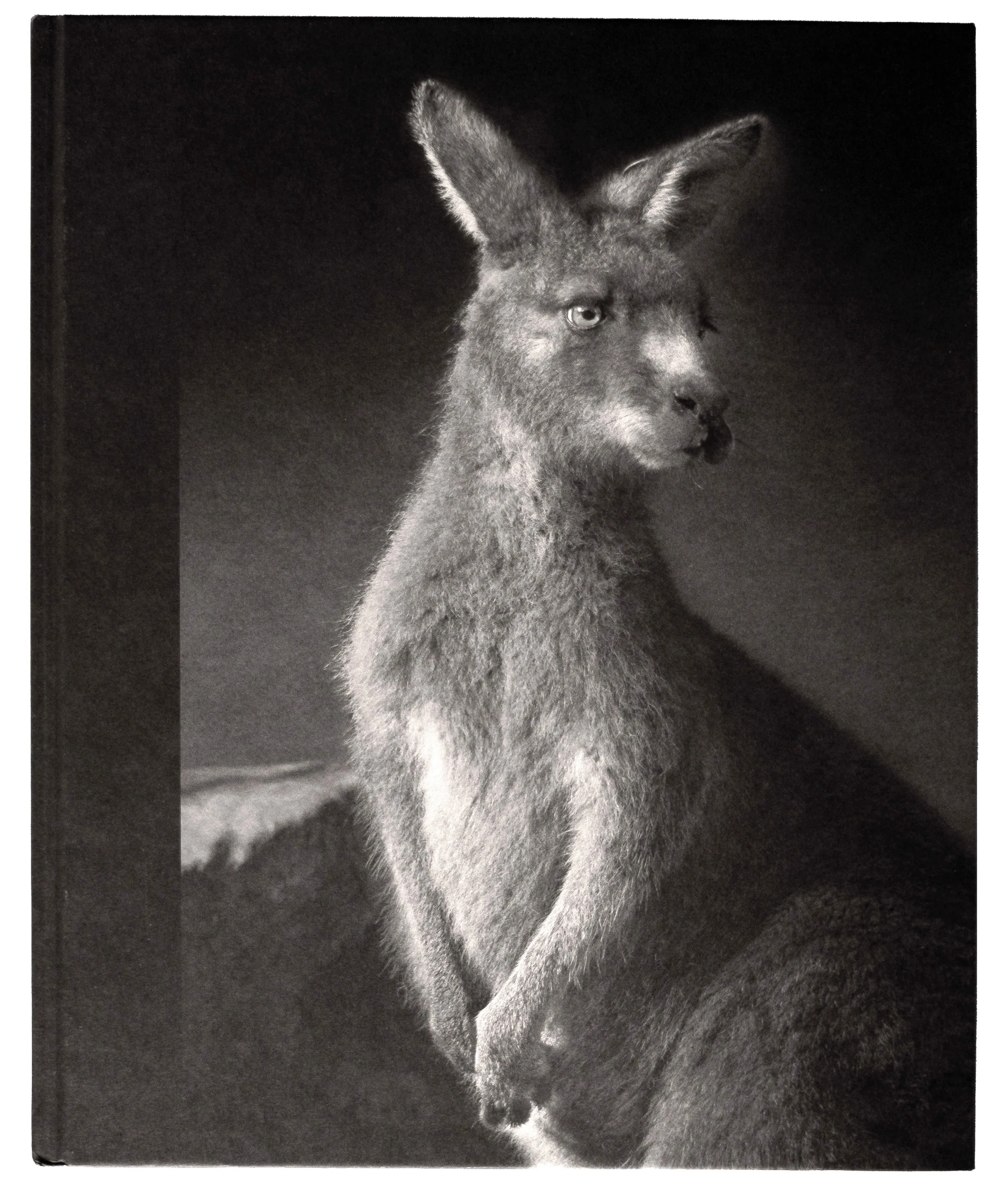 All the things you are — front cover