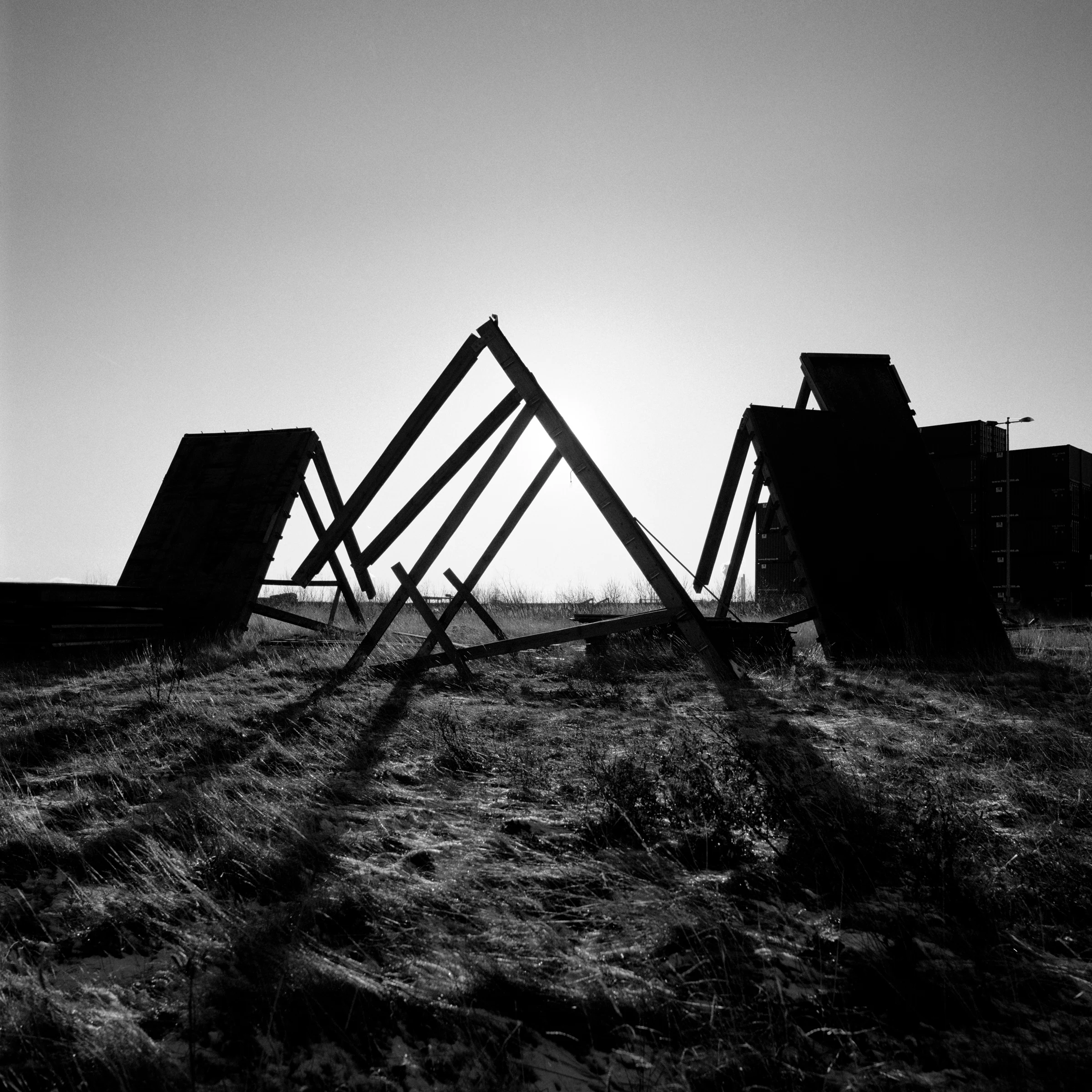Geometric framework in a sandy landscape