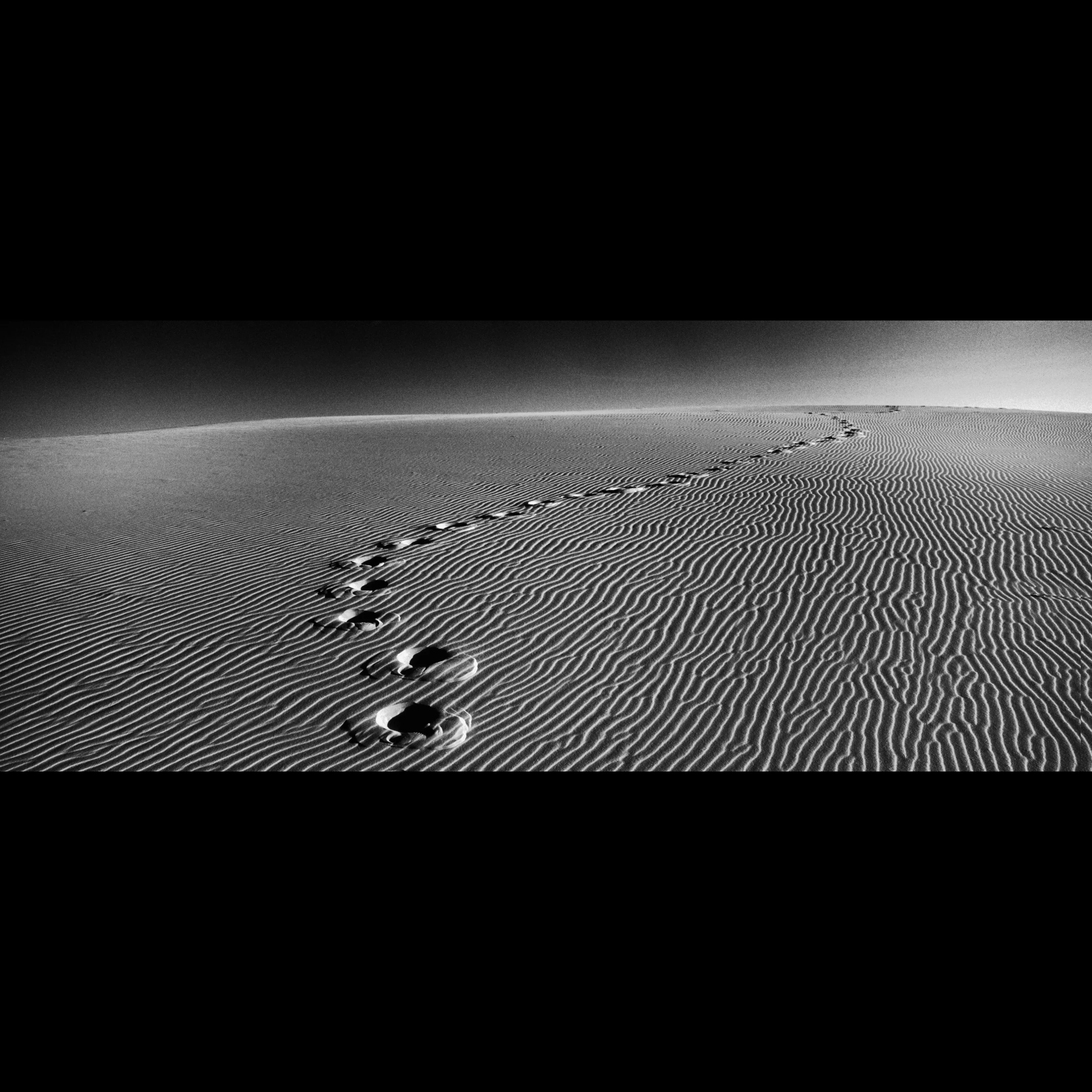 Footprints across a sand dune