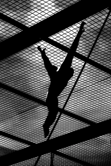 Primate silhouetted beneath an overhead mesh
