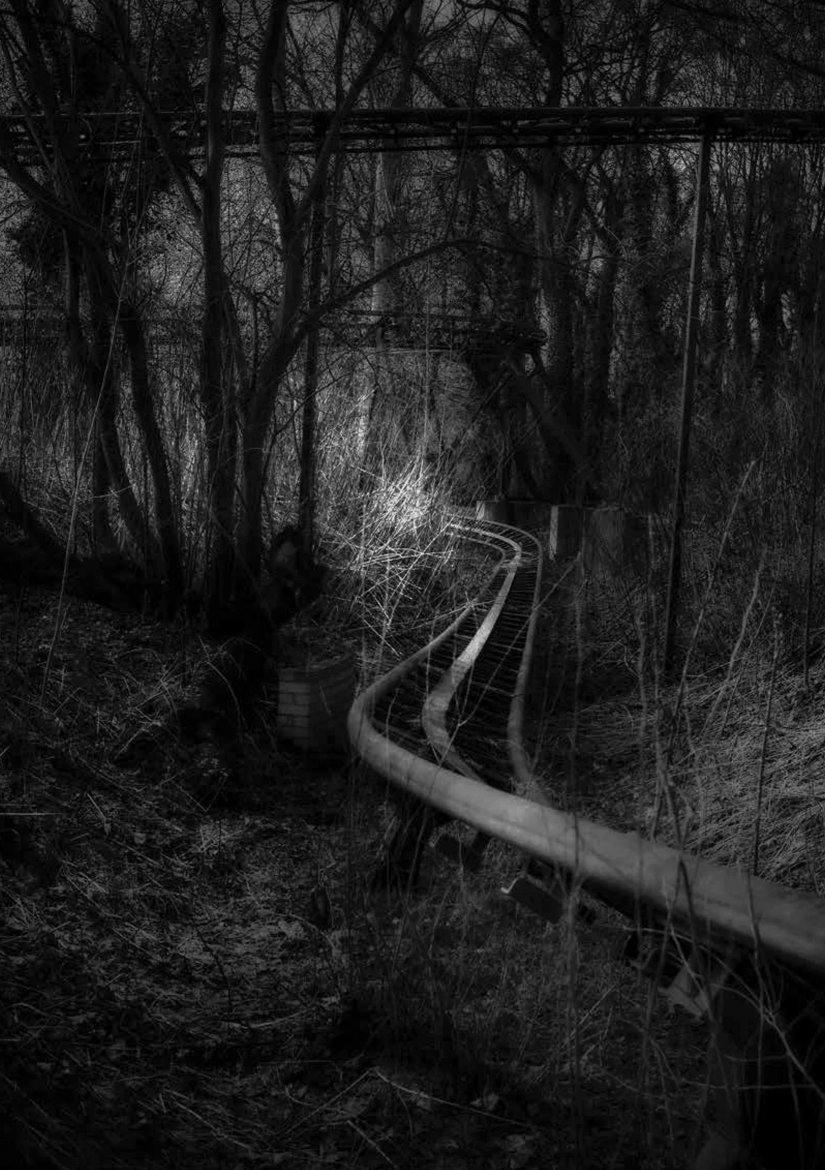 Winding ride and trees from Spreeblitz