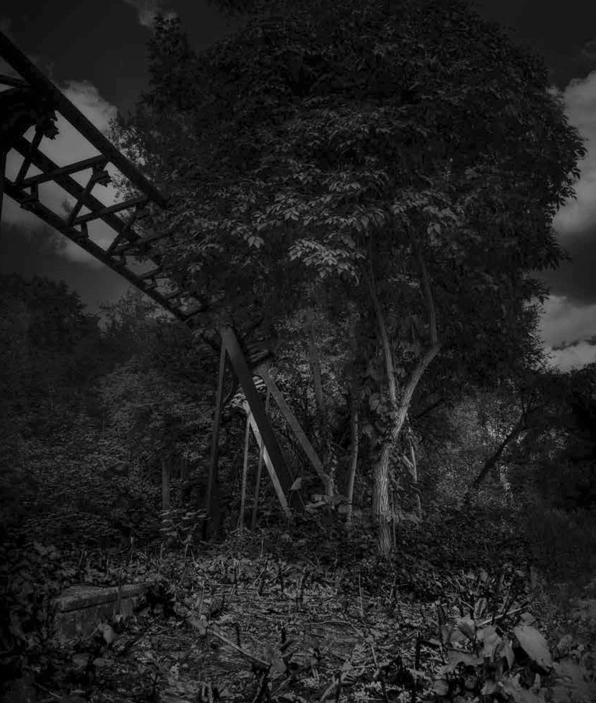 Overgrown ride structure at Spreepark