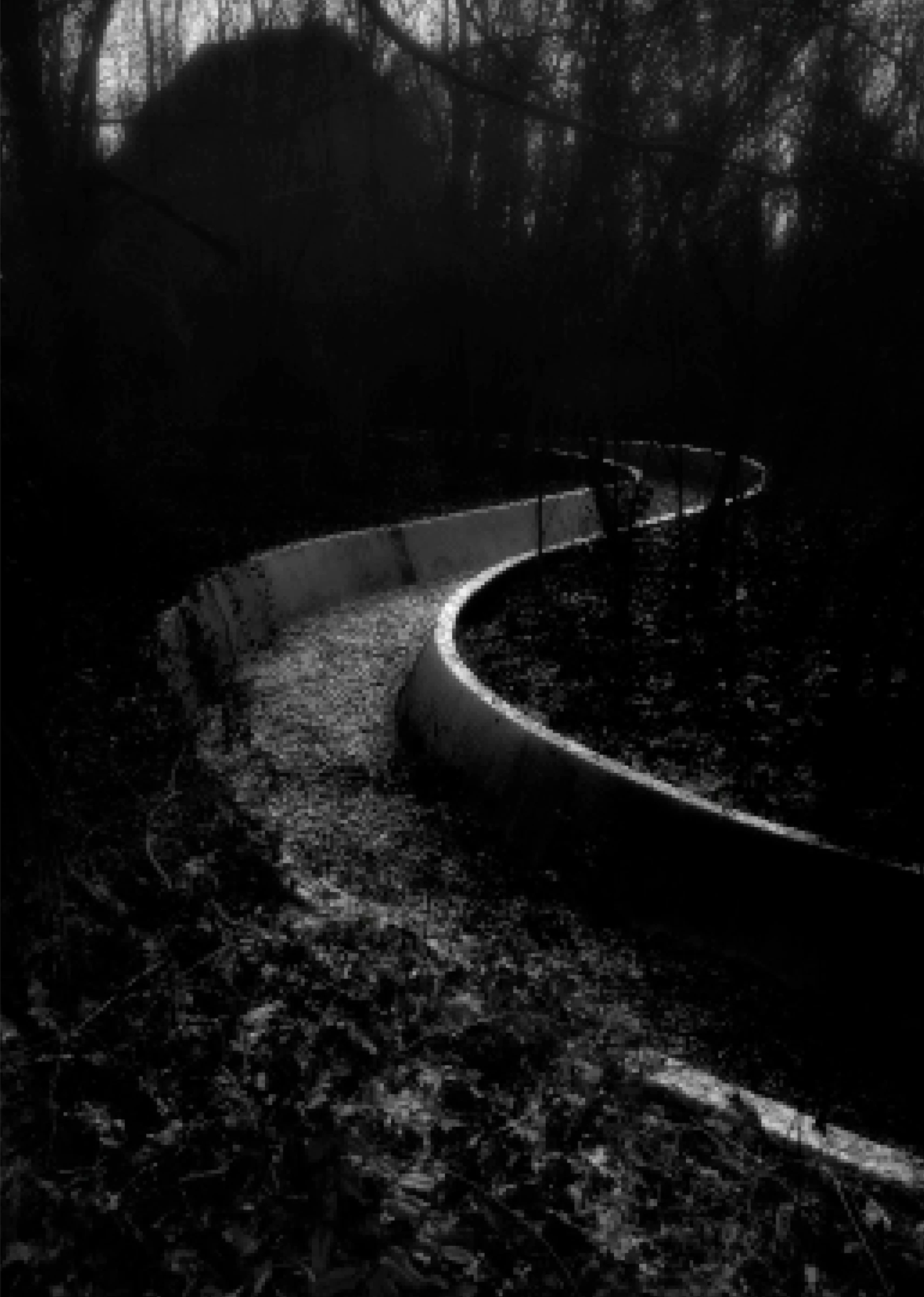 Curving track in the dark woodland at Spreepark