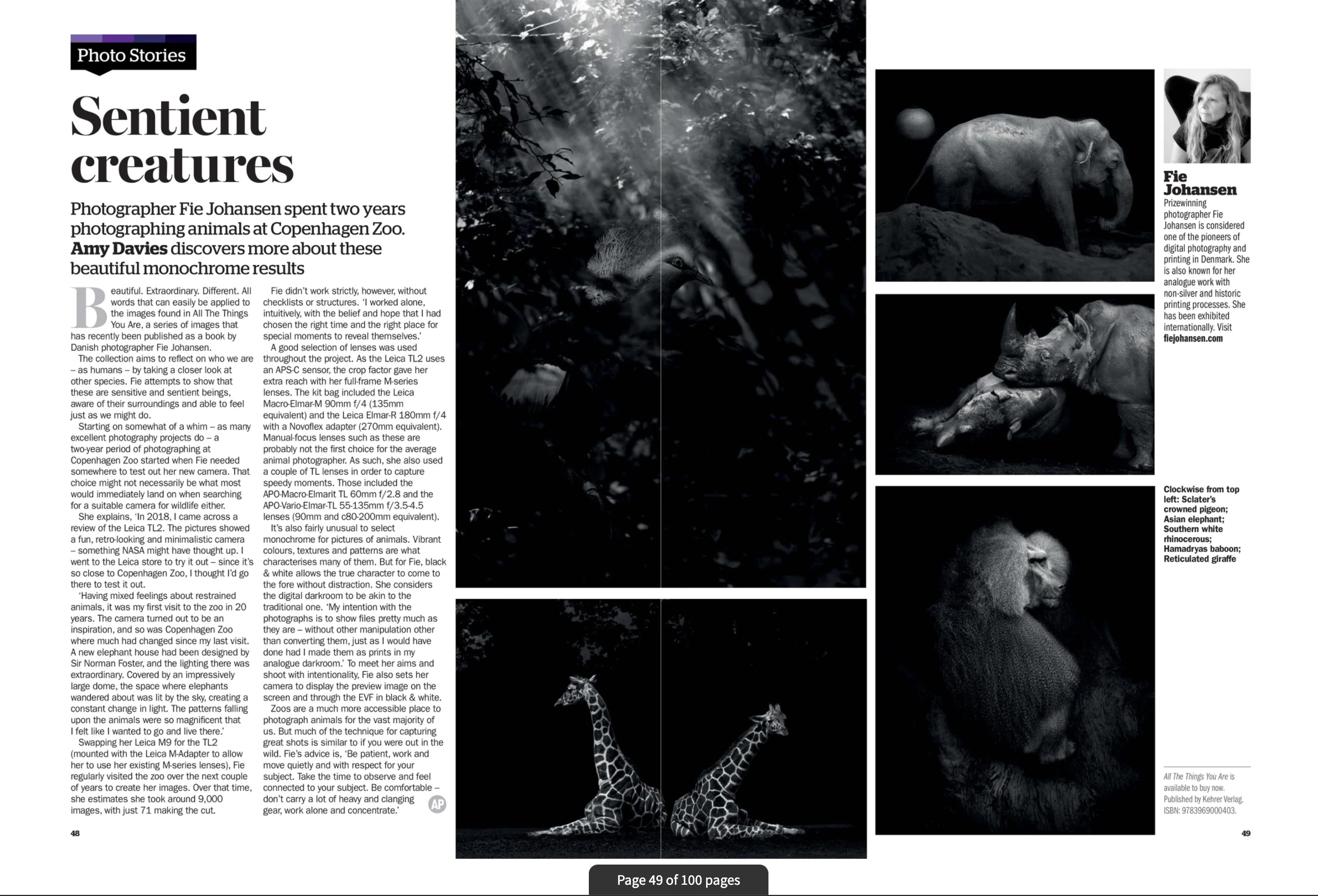 Sentient creatures — Amateur Photographer magazine spread about All the things you are